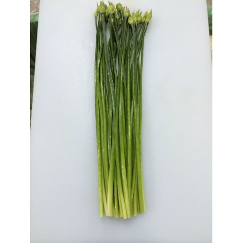 韭菜花